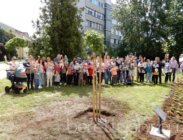 Életfát ültettünk 35